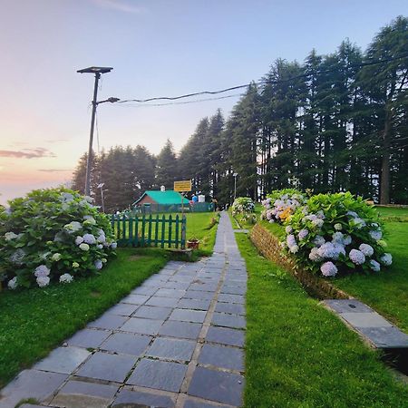 Forest Vibes Kalatop-Rooms And Restaurant 댈하우지 외부 사진