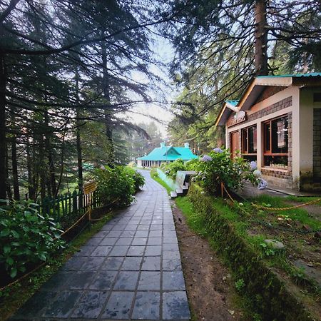 Forest Vibes Kalatop-Rooms And Restaurant 댈하우지 외부 사진