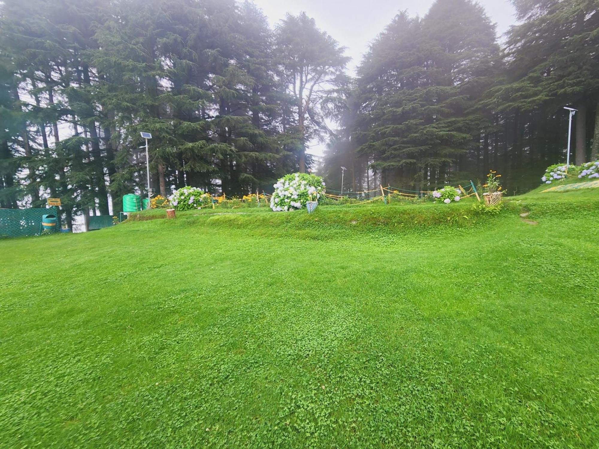 Forest Vibes Kalatop-Rooms And Restaurant 댈하우지 외부 사진