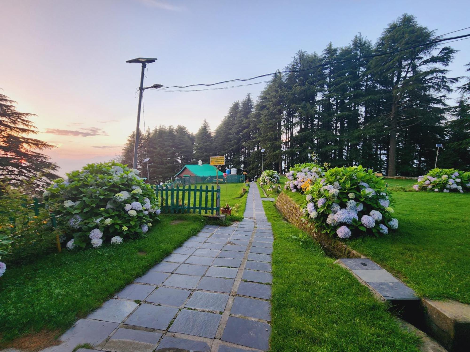Forest Vibes Kalatop-Rooms And Restaurant 댈하우지 외부 사진