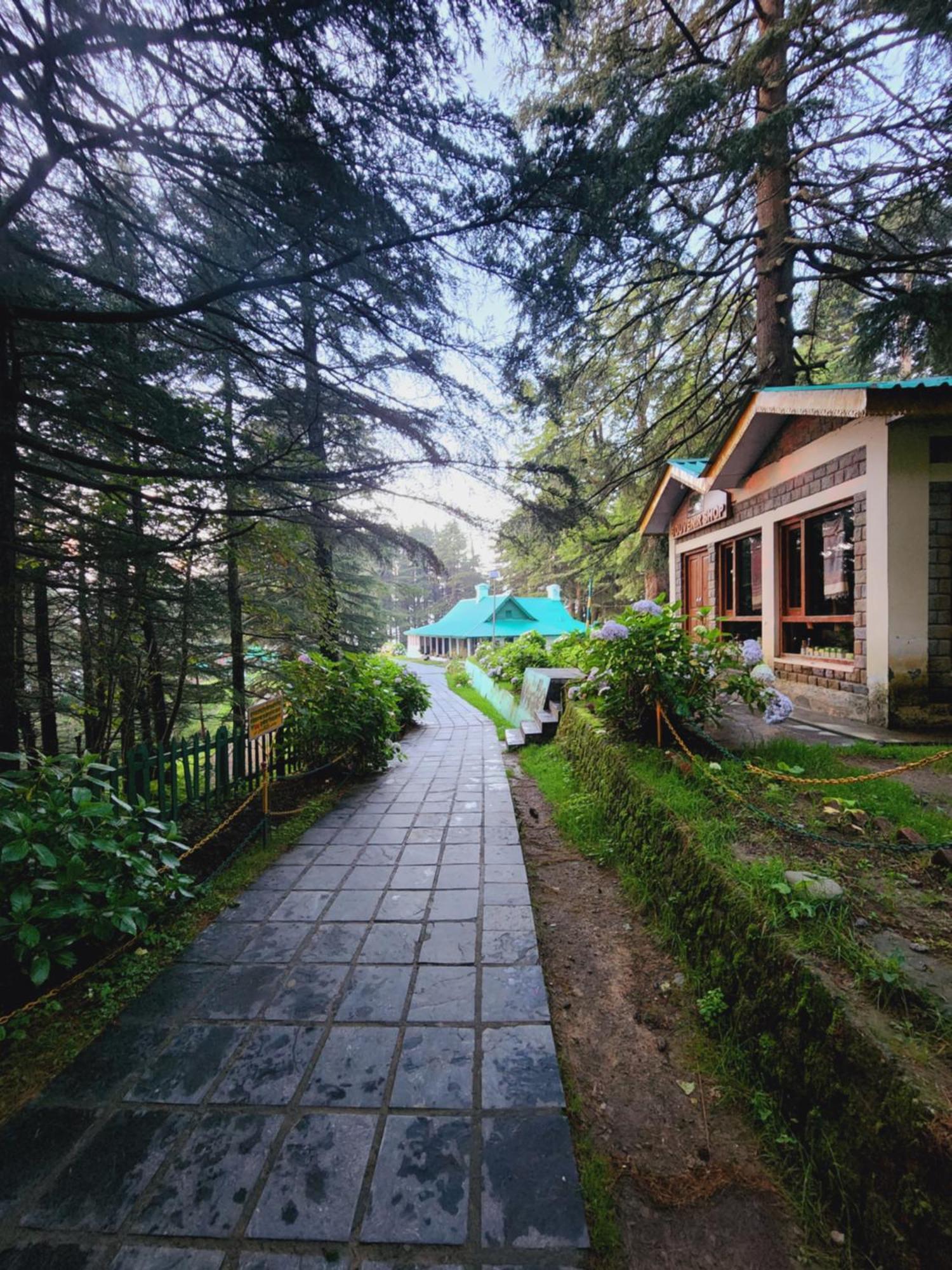 Forest Vibes Kalatop-Rooms And Restaurant 댈하우지 외부 사진